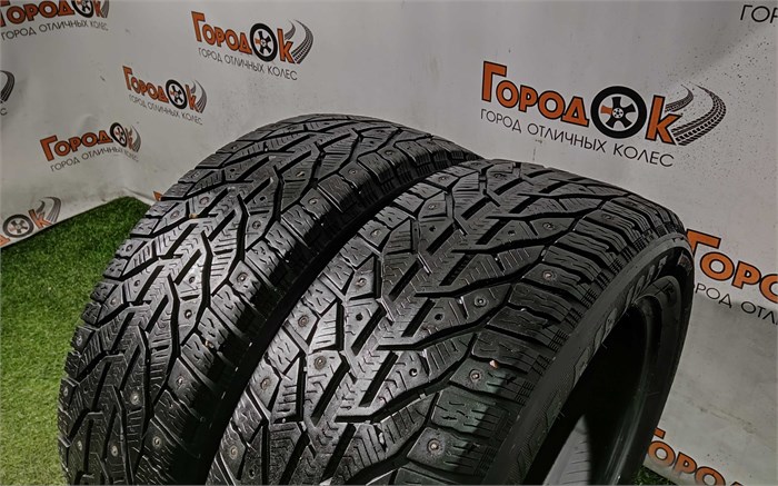 Пара шин зима R18 Tigar 225х55 24643