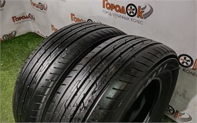 Пара шин лето R16 Triangle  215х65 23453