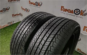 Пара шин лето R17 Tigar 225х60 24456