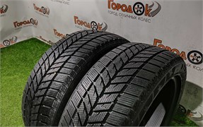 Пара шин липучка R17 Dynamo 205х50 24790