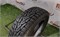 Шина зима R14 Nokian 175х65 23474 - фото 32496