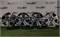 К-кт литых дисков R17 SsangYong 5х130/84,1/50 23107